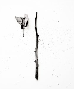 Zeitgenössische Fotografie von Edin Mustafic, Serie Temporality: Visuelle Darstellung von Bewegung und Zeitlichkeit, abstrakte Formgebung.